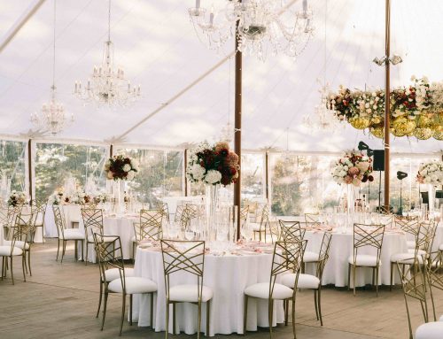 Elevating Elegance: Chameleon Chairs French’s Point Wedding