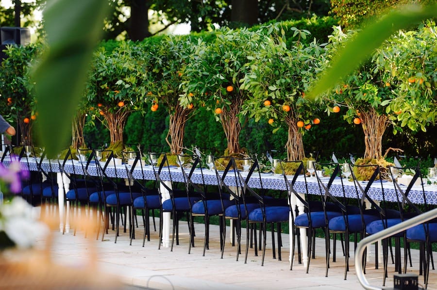 Orange Grove Dinner Party Featured on PartySlate1